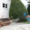 Souffleur sans fil Souffleur Turbo Jet sans balais 300 m/s Voir les images du produit 4