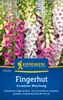 Kiepenkerl Fingerhutsamen Excelsior Digitalis purpurea 250 Produktbild-Vorschau 1