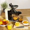 KitchenBrothers Slow Juicer - Entsafter - Obst- und Produktbild-Vorschau 3