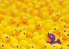 Quietscheenten Ravensburger 12000587 Produktbild-Vorschau 2