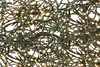 Micro Cluster 1500 LEDs - 30 Meter - warmweiß -Innen- und Produktbild-Vorschau 3