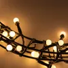 Close-up of a string of LED lights. Anteprima dell’immagine prodotto