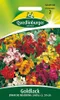 Quedlinburger Saatgut - Goldlack - Nasiona - 506902 Podgląd zdjęcia produktu 3