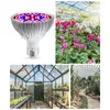 A collage of images showing a grow light bulb and various greenhouses with plants. Produktbild-Vorschau