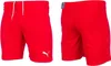 Puma Pantaloni Teamrise, 70494301, Taglia: 164 Anteprima dell’immagine prodotto 3