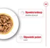 Royal Canin Mini Ageing 12+, Dospělý jedinec, 85 g Náhled obrázku produktu 6