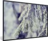 MuchoWow® Gerahmtes Poster Winter - Tannenbaum - Schnee - Produktbild-Vorschau 1