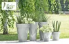 Several planters with plants are arranged on a patio in front of a leafy tree. Produktbild-Vorschau