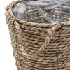Set di 3 cesti per piante in alghe marine naturali - 25 / Anteprima dell’immagine prodotto 5