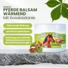 VIVACO Pferde Balsam Wärmend mit Rosskastanie 500 ml – zur Produktbild-Vorschau 2