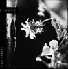 Jinjer - Wallflowers (Limited Edition) (LP) Podgląd zdjęcia produktu 1