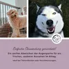 Augenpads für Hunde 100 Stück - Augenreiniger für Hunde - Produktbild-Vorschau 5