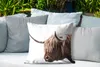 MuchoWow® Outdoor Kissen - Schottisches Hochlandrind - Produktbild-Vorschau 4