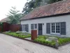 Stauden Gänge 10 x Carex oshimensis 'JS Greenwell' im 1 Produktbild-Vorschau 3