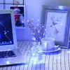 A desk scene with a laptop, a vase of dried flowers with fairy lights, and a framed picture of a deer. Produktbild-Vorschau