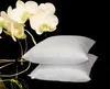 Hofmann Canada Feder Daunen Kissen Kopfkissen 80x80cm 950g Produktbild-Vorschau 3