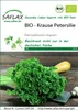 SAFLAX - BIO – kadeřavá petržel - Petroselinum crispum - Náhled obrázku produktu 11