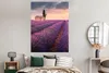 MuchoWow® Poster Lavendel - Blumen - Lila - Feld 120x160 cm Produktbild-Vorschau 4