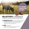 REAVET Analdrüsen Unterstützung Hund 350g (140 Drops) – Bei Produktbild-Vorschau 3