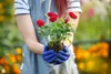 Rosendünger Dünger Für Alle Aarten Rosen Topf Beet Kübeln Produktbild-Vorschau 2
