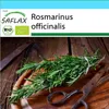 SAFLAX Darčeková sada - BIO - Rozmarín - Rosmarinus Náhľad obrázku produktu 10