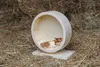 Karlie Roue en bois BOGIE WHEEL - 20 cm Voir les images du produit 8