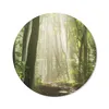 MuchoWow® Mauspad Mousepad Wald - Licht - Natur - Produktbild-Vorschau 1