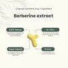 Goyu Berberin-Extrakt 400 mg (60 Kapseln) Produktbild-Vorschau 3