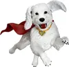 Superman (2025) Actionfigur Superman & Krypto 21 cm Podgląd zdjęcia produktu 19