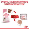 Royal Canin Cat – Mother & Babycat Laib Produktbild-Vorschau 6