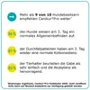 Canikur Pro Paste 60ml Produktbild-Vorschau 8