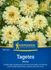 Kiepenkerl Tagetessamen Arctic Tagetes erecta 40 Pflanzen Produktbild-Vorschau 1
