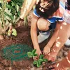 Relaxdays Griglia per fragole, 6 pezzi, protezione contro Anteprima dell’immagine prodotto 2