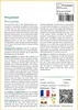 SAFLAX  - Pin parasol - 6 graines - Pinus Voir les images du produit 3
