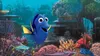 Findet Dorie [Blu-ray] Produktbild-Vorschau 2