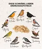 Dehner Natura Premium Wildvogelfutter, Erdnuss-Aufstrich, Produktbild-Vorschau 4