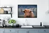 MuchoWow® Gerahmtes Poster Schottischer Highlander - Produktbild-Vorschau 3