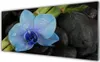 Acrylglasbilder 125x50 Wandbild Druck Blume Steine Pflanzen Produktbild-Vorschau 1