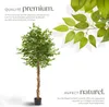 Ficus artificiel FIDA à l'aspect naturel - 180 cm Voir les images du produit 3