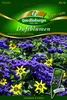 Quedlinburger Saatgut - Duftblumen Schokolade mit Sahne - Produktbild-Vorschau 1