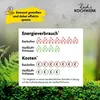 A marketing image comparing energy consumption and costs of an oven and an air fryer, set against a natural background of ferns and moss. Produktbild-Vorschau