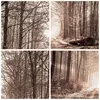 Gerahmtes Poster - Schwarzer Rahmen - Wald Straße Baum - Produktbild-Vorschau 9