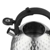 Bollitore In Acciaio Inox 2,5L Fenny Satin Anteprima dell’immagine prodotto 2