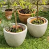 Potted plants in a garden setting with a solar irrigation system. Produktbild-Vorschau