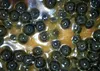 Carpe Food Oil Hookers 18mm/120g Black Halibut Voir les images du produit 3