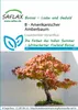 Artikelbild 1 von 'Amerikanischer Amberbaum (Bonsai)' aus der Kategorie Bonsaisamen Produktbild-Vorschau