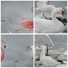Bild auf Leinwand - Leinwandbild - Einteilig - Flamingo Produktbild-Vorschau 8