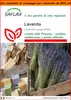SAFLAX Garden in the bag - Lavanda - 150 semi - Lavandula Anteprima dell’immagine prodotto 1