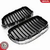 ESEN SKV 66SKV182 Kühlergrill Frontgrill für BMW 5 Touring Produktbild-Vorschau 6