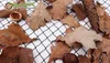 Dried leaves and a pine cone are scattered on a black net against a white background. Podgląd zdjęcia produktu